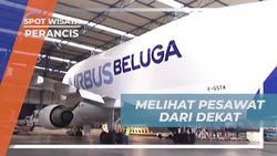 Melihat Dekat Pesawat Airbus Beluga di Pabrik Toulouse, Perancis  