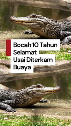 Video: Momen Bocah di Kaltim Berhasil Selamat dari Terkaman Buaya