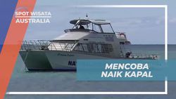 Mencoba Naik Kapal dan Melihat Ikan Paus di Australia  