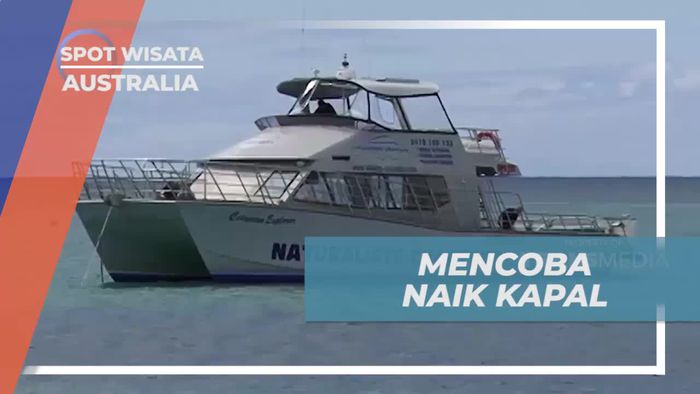 Mencoba Naik Kapal dan Melihat Ikan Paus di Australia  