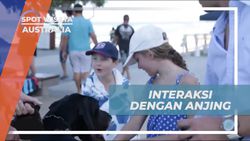 Bermain dan Berinteraksi dengan Anjing Besar di Australia  