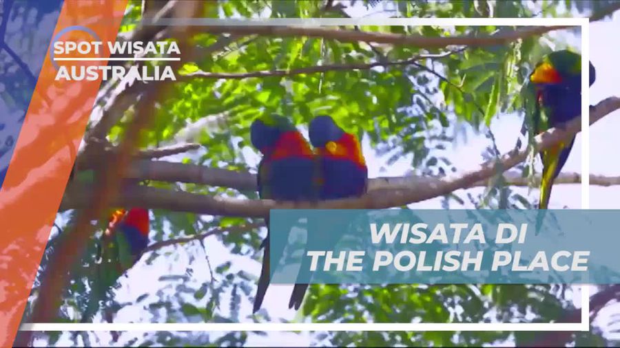 Menikmati Suasana Asyik Restoran Polandia The Polish Place di Australia  