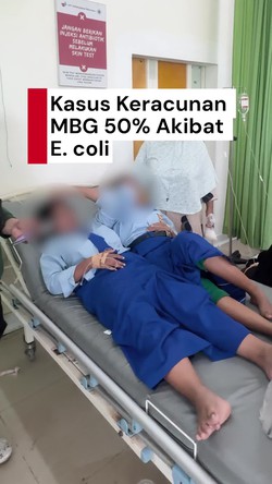 Video: Kasus Keracunan MBG 50% Akibat E. coli