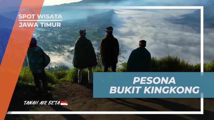 Mengagumi Pesona Alam Bukit Kingkong yang Membuat Takjub di Jawa Timur  