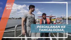 Perjalanan Seru Menuju Tangalooma Island dengan Kapal di Australia  