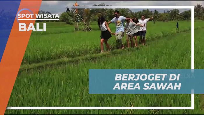 Menari-nari di Tengah Sawah Saat Menuju Restoran di Ubud Bali  