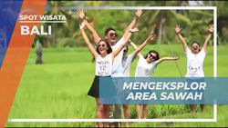 Menikmati Keindahan Sawah Hijau di Ubud Bali yang Menenangkan  