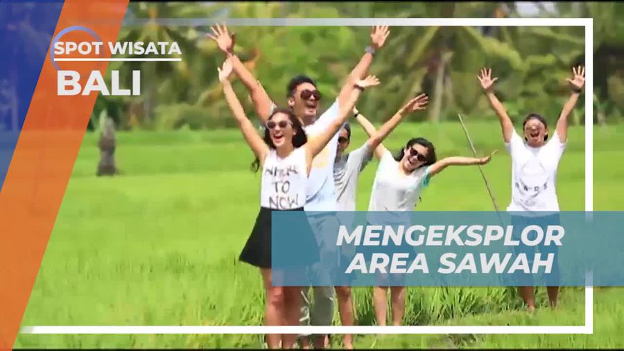 Menikmati Keindahan Sawah Hijau di Ubud Bali yang Menenangkan  