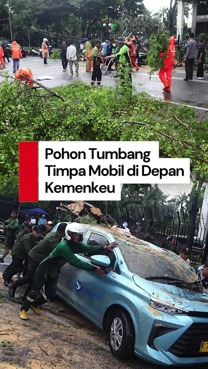 Video: 2 Mobil Ringsek Tertimpa Pohon Tumbang di Depan Kemenkeu