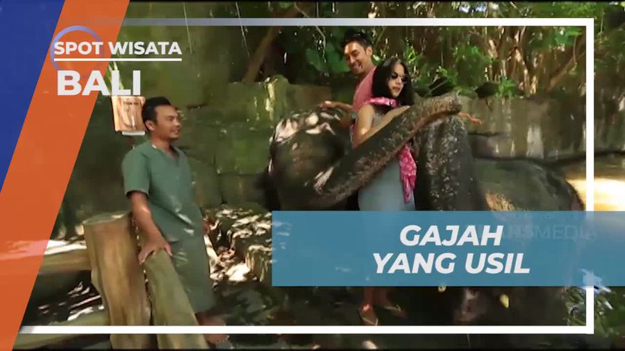 Menghadapi Gajah Usil dan Disembur Air oleh Salah Satu Gajah di Bali  