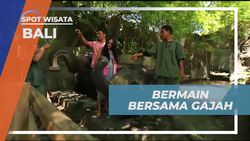 Memberi Makan dan Bermain Bersama Gajah di Bali Safari & Marine Park  