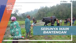 Menikmati Serunya Bermain Bantengan Bersama Warga di Lumajang  