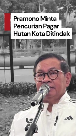 Video: Pramono Minta Satpol PP Tangani Pencurian Pagar Hutan Kota Kemayoran