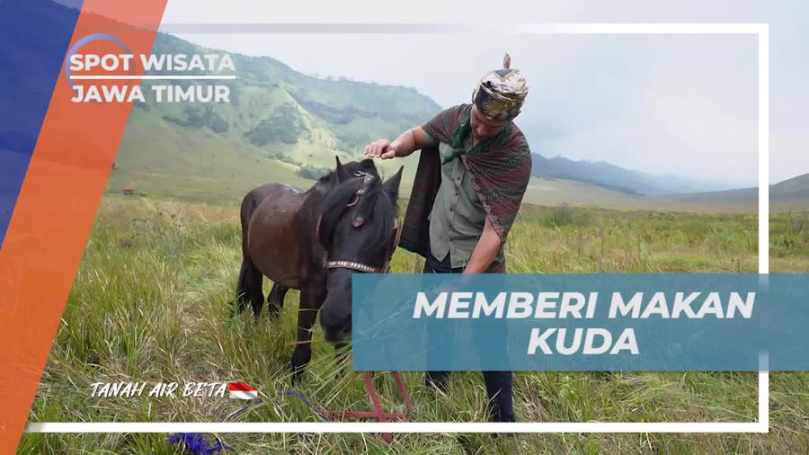 Menikmati Keindahan Lembah Watangan dengan Memberi Makan Kuda di Jawa Timur 