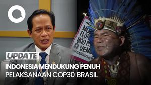 Video Menteri LH soal Demo Warga Adat Brasil: COP Penting, RI Support Penuh