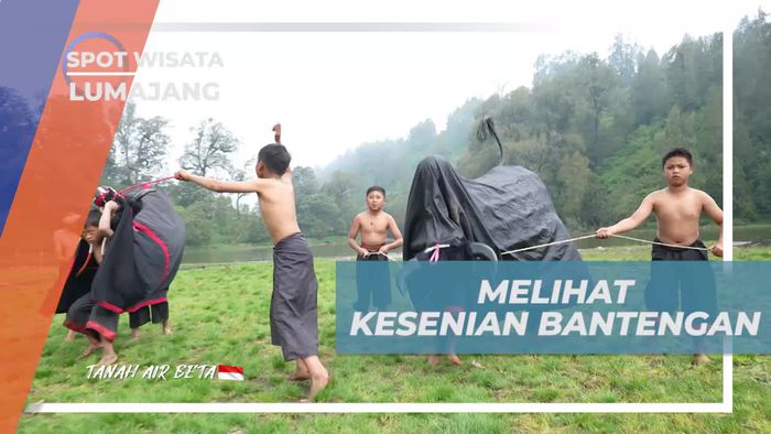 Menyaksikan Kesenian Tradisional Bantengan di Desa Ranupani, Lumajang  