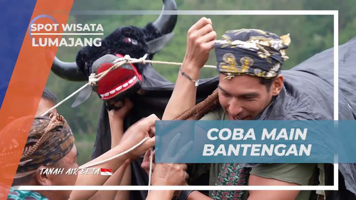 Mencoba Main Bantengan dan Menikmati Kegiatan Tradisional di Lumajang  