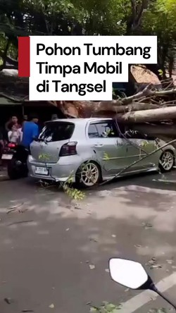 Video: Mobil Yaris Bakpao Tertimpa Pohon Tumbang di Ciputat