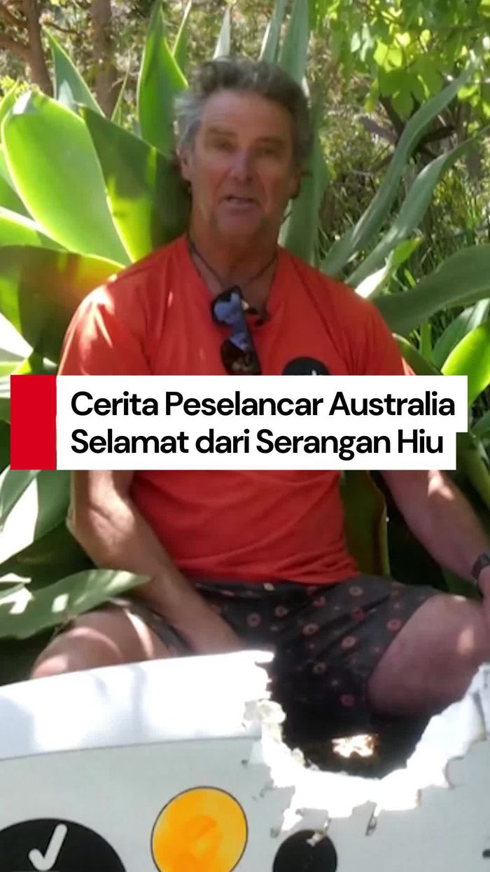 Video Kisah Menegangkan Peselancar Australia Diserang Hiu!