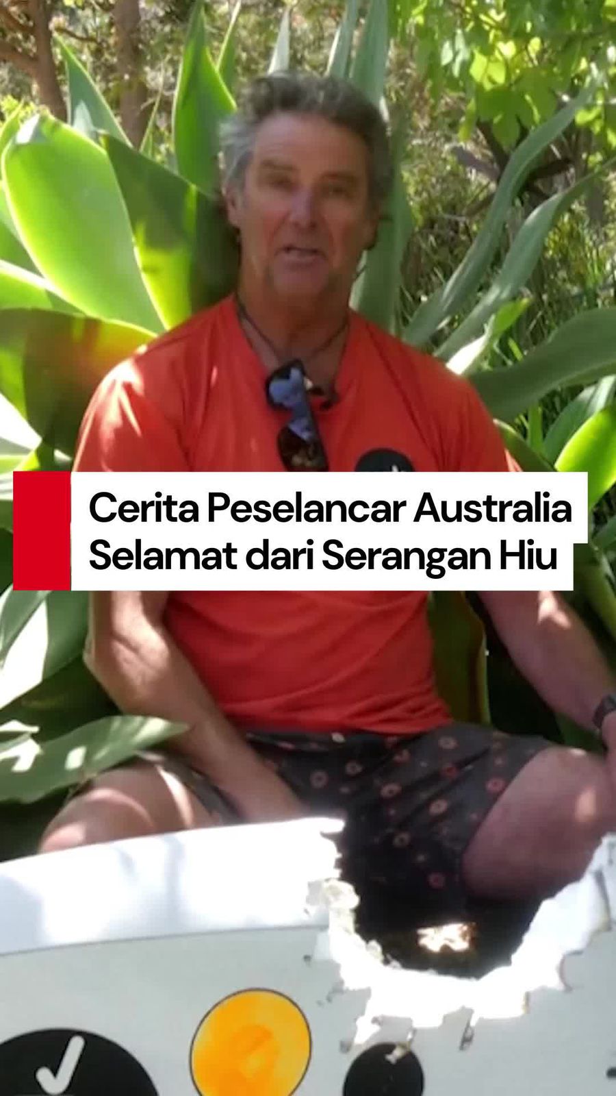 Video Kisah Menegangkan Peselancar Australia Diserang Hiu!