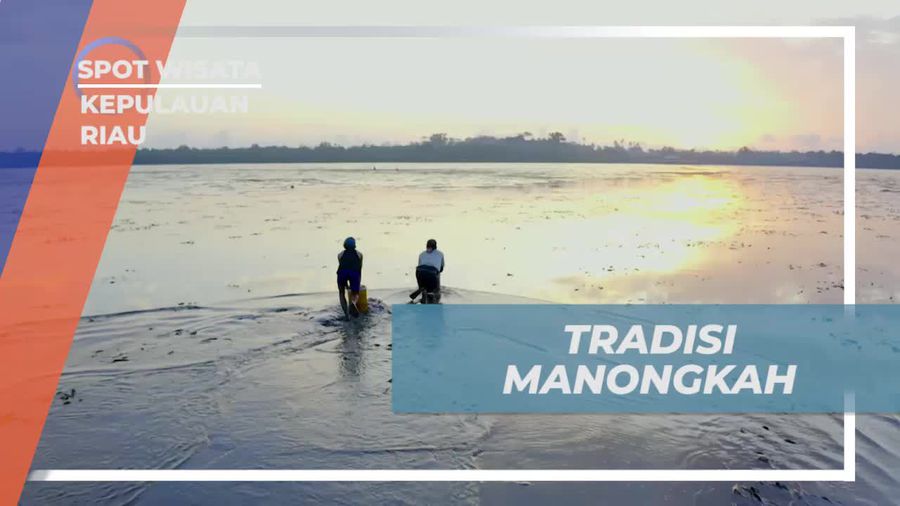 Melaksanakan Tradisi Manongkah dan Mencari Kerang di Pantai Lumpur Kepulauan Riau  