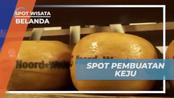 Menyaksikan Pembuatan Keju Tradisional di Simone Hoeve, Belanda  