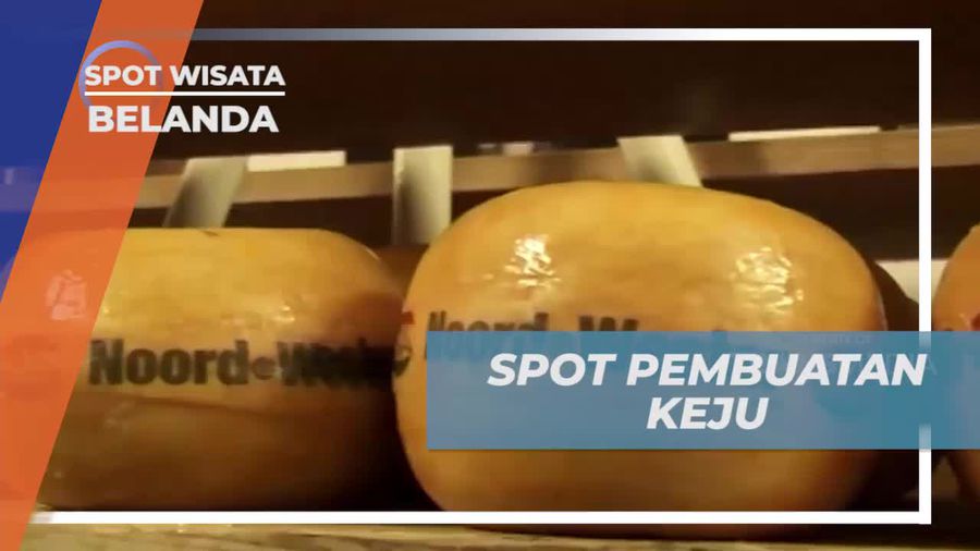 Menyaksikan Pembuatan Keju Tradisional di Simone Hoeve, Belanda  