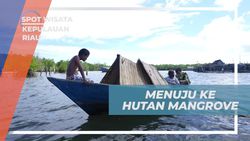Menyusuri Hutan Mangrove dengan Perahu Kajang di Kepulauan Riau  