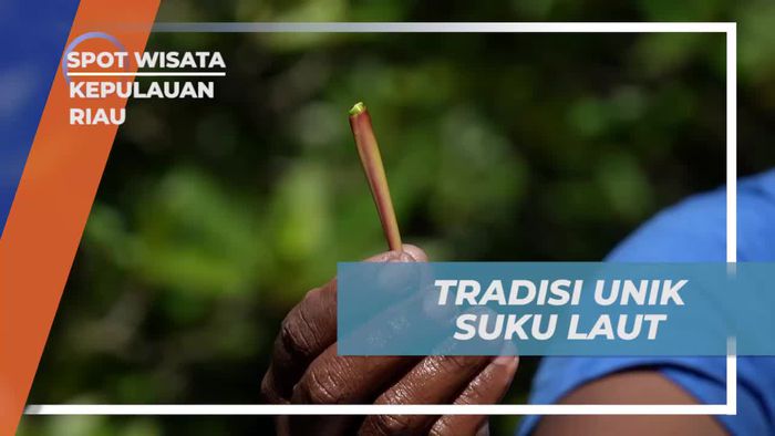 Menikmati Tradisi Unik Suku Laut dan Menghormati Alam di Kepulauan Riau  