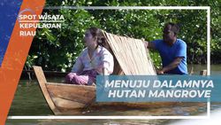 Menyelami Kedalaman Hutan Mangrove dan Cari Daun Pandan di Kepulauan Riau  