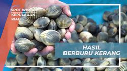Mengumpulkan Hasil Berburu Kerang dan Menyiapkan untuk Konsumsi Bersama di Kepulauan Riau  