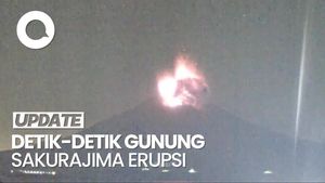 Video: Detik-detik Gunung Sakurajima Erupsi, Tinggi Kolom Abu Capai 4,4 Km