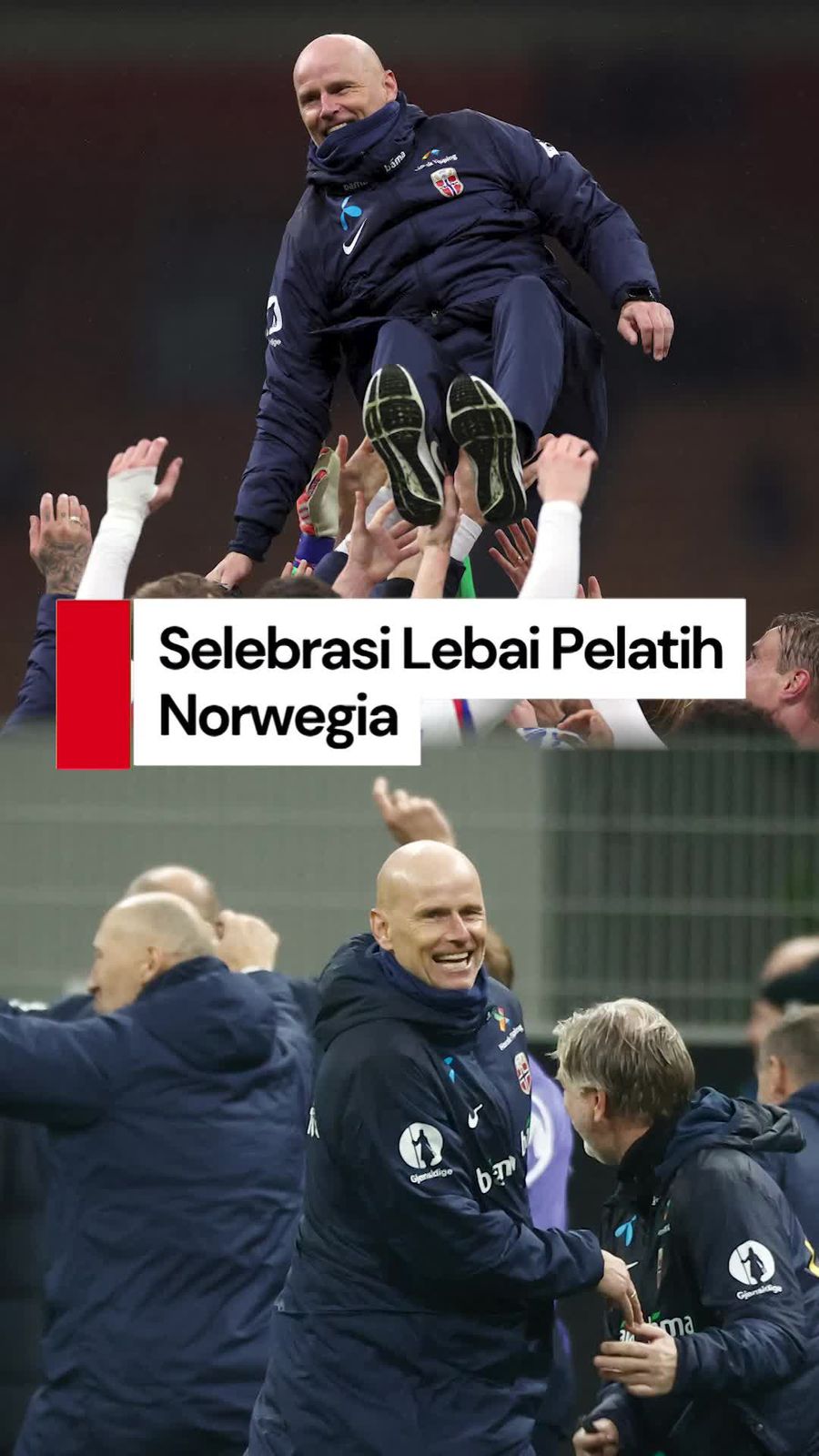 Video Pelatih Norwegia Minta Maaf ke Gattuso gegara Selebrasi Lebai