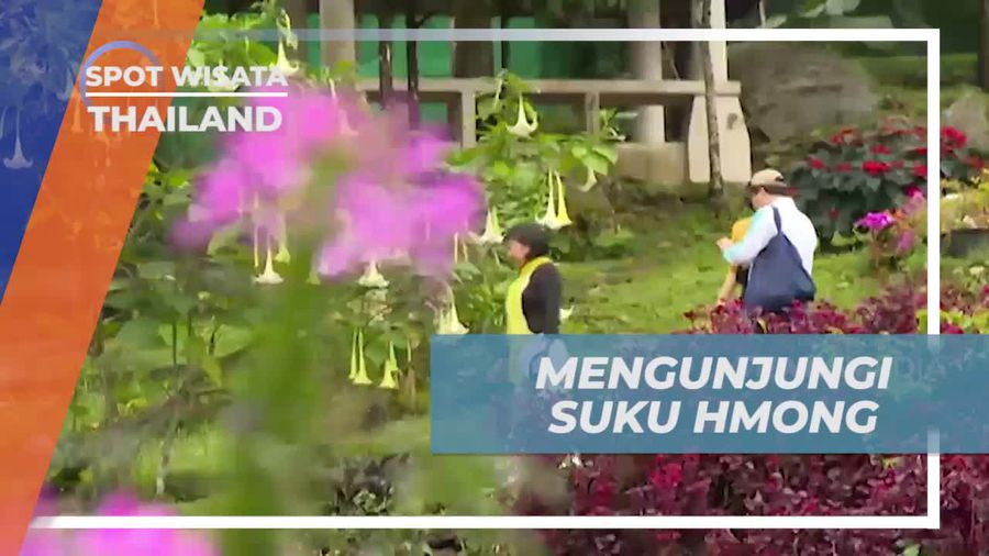 Mengunjungi Suku Hmong dan Menyelami Budaya Mereka di Thailand  