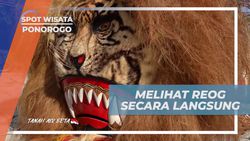 Menyaksikan Langsung Kesenian Reog di Desa Gelang Lo, Ponorogo  