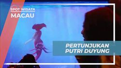 Saksikan Pertunjukan Putri Duyung yang Menakjubkan di City of Dreams, Macau  