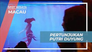 Saksikan Pertunjukan Putri Duyung yang Menakjubkan di City of Dreams, Macau  