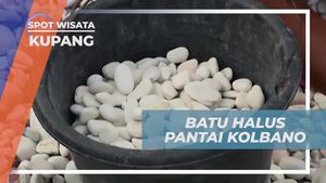 Mengamati Pengumpulan Batu Halus oleh Warga di Pantai Kolbano, Kupang  