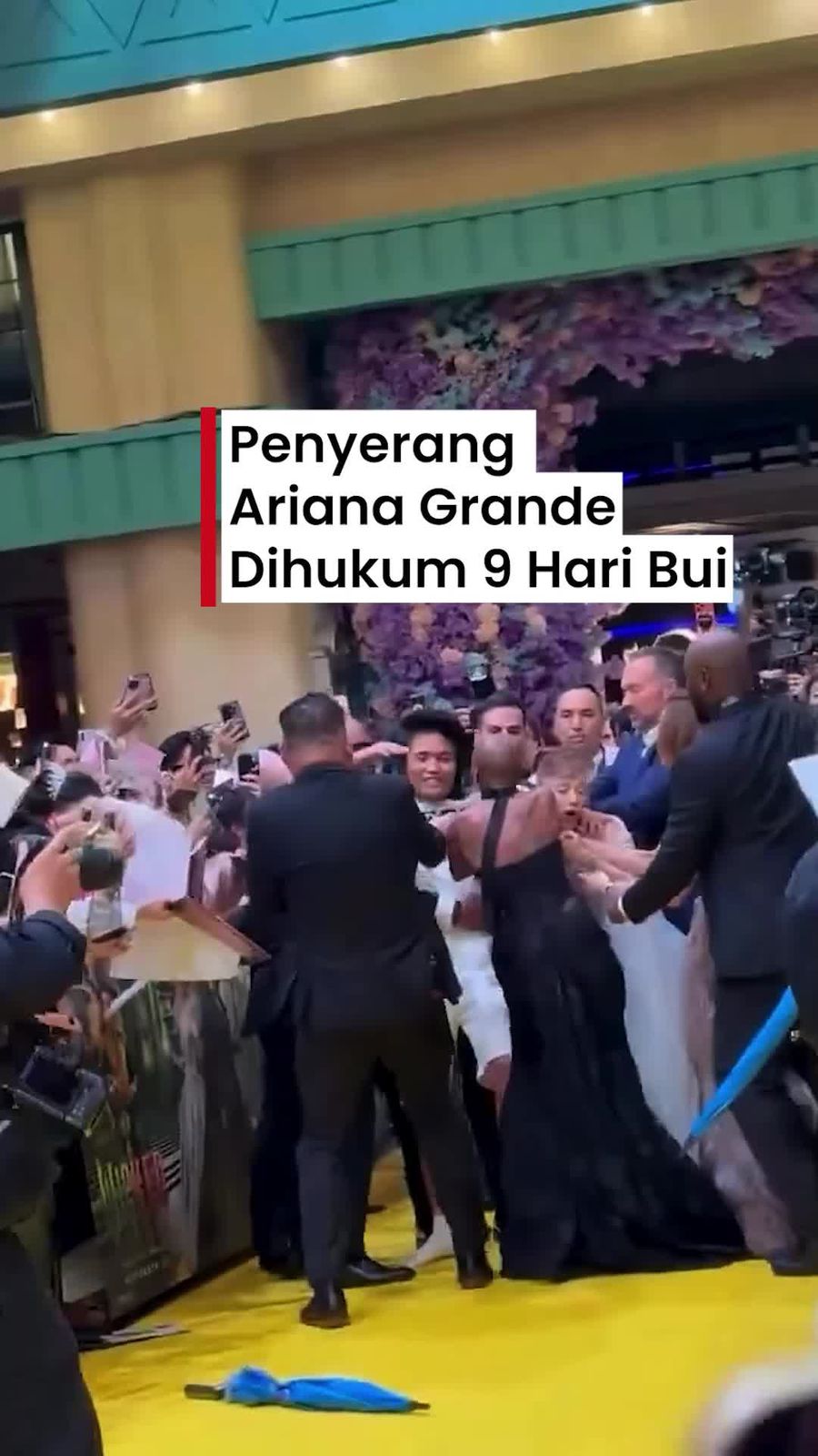 Video: Penyerang Ariana Grande Dihukum 9 Hari Bui