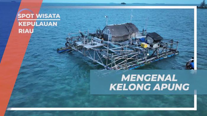 Pahami Fungsi Kelong Apung sebagai Alat Tangkap Ikan Tradisional di Kepulauan Riau  