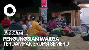 Video: Kondisi Pengungsian Warga Terdampak Erupsi Semeru di Balai Desa Penanggal
