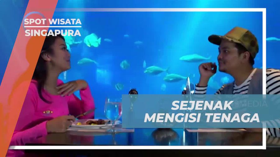 Menikmati Momen Santai dan Makan di Dalam Aquarium di South East Aquarium, Singapura  