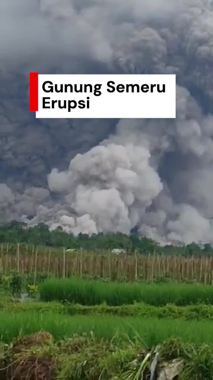 Video Gunung Semeru Erupsi, Luncurkan Awan Panas Sejauh 5,5 Km