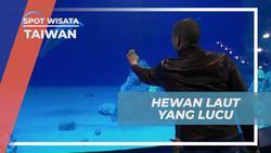 Menikmati Keindahan Hewan Laut Lucu dan Akuarium Ikan Duyung di Taiwan  