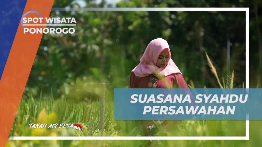 Menyusuri Suasana Syahdu Persawahan Setelah Menyaksikan Reog di Desa Gelang Lo, Ponorogo  