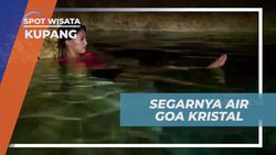 Menyelam dan Menikmati Keindahan Bongkahan Kristal di Goa Kristal, Kupang  