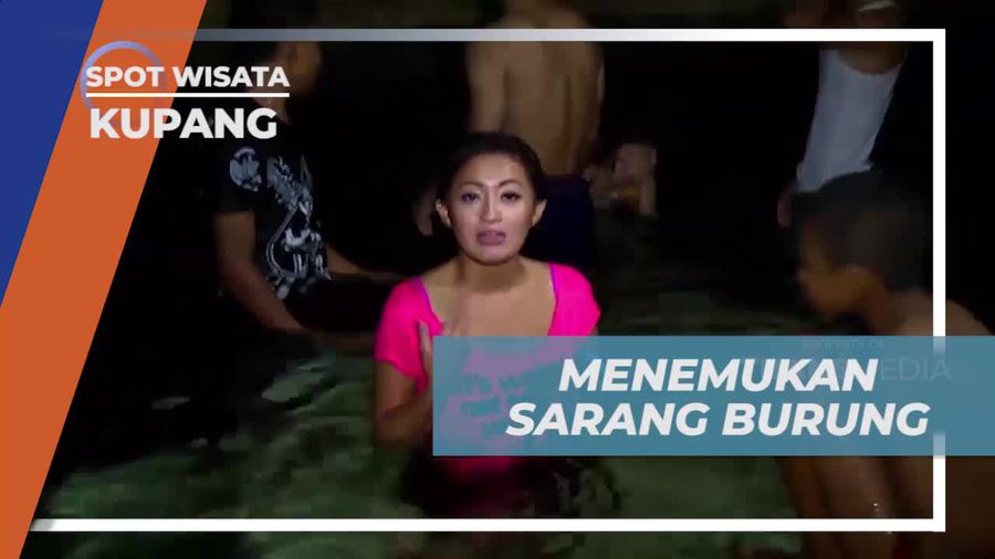 Menemukan Sarang Burung Walet di Atas Langit-Goa Kristal, Kupang  