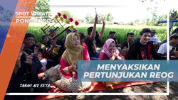 Menyaksikan Pertunjukan Reog yang Seru di Desa Gelang Lo, Ponorogo  