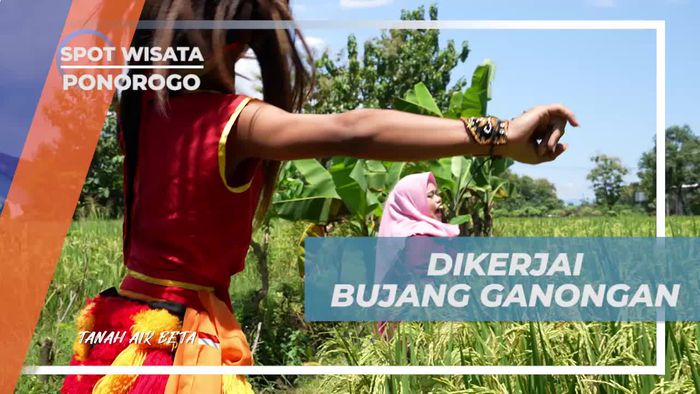 Dikerjai Penari Ganongan Saat Menyaksikan Pertunjukan Reog di Desa Gelang Lo, Ponorogo 