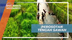 Menikmati Sensasi Perosotan Tengah Sawah di Mojokerto yang Viral di Media Sosial